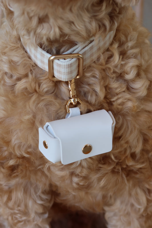 cavoodle dog carrying rings for wedding in pouch