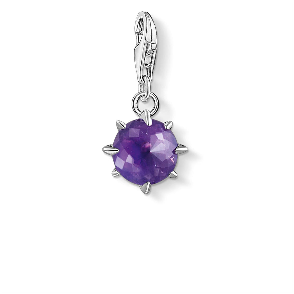 C/CLUB FEBRUARY Birthstone AMETHYST DARK