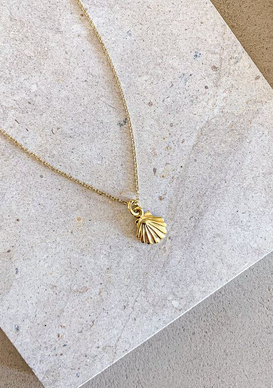 Gold Shell Necklace Real Solid on sandstone