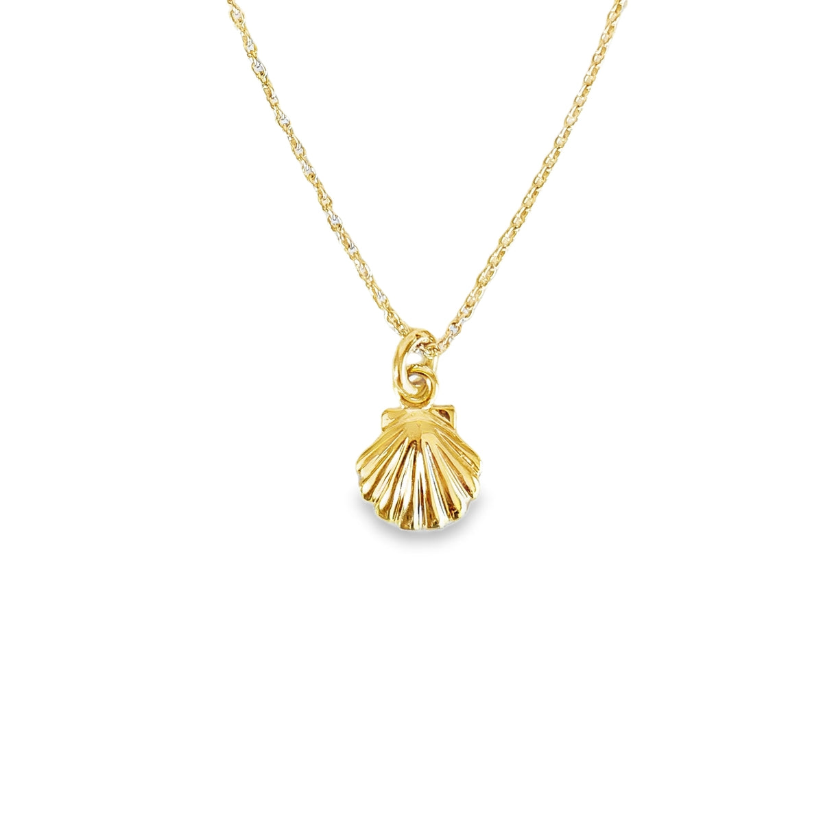 Petite Shell Necklace 9CT Yellow Gold