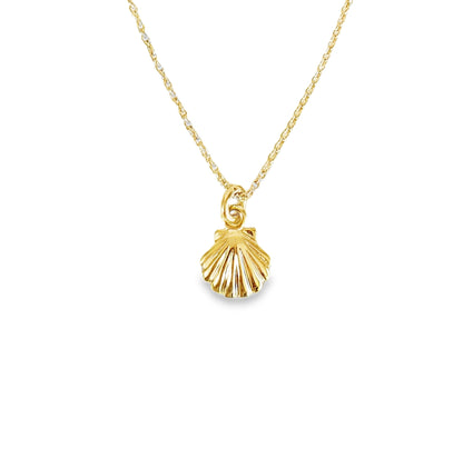Petite Shell Necklace 9CT Yellow Gold