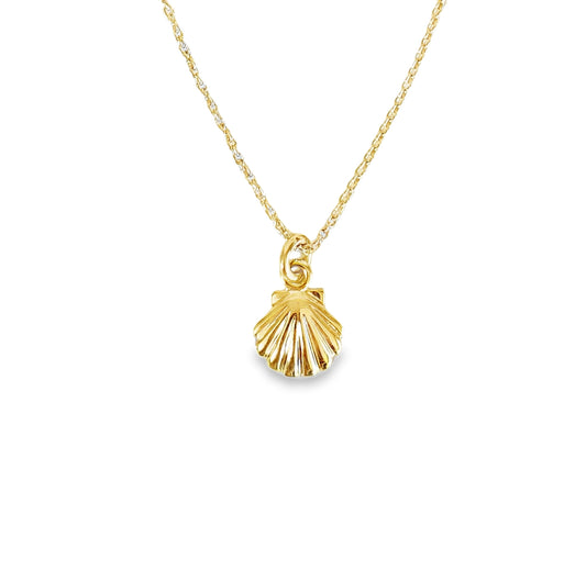 Petite Shell Necklace 9CT Yellow Gold