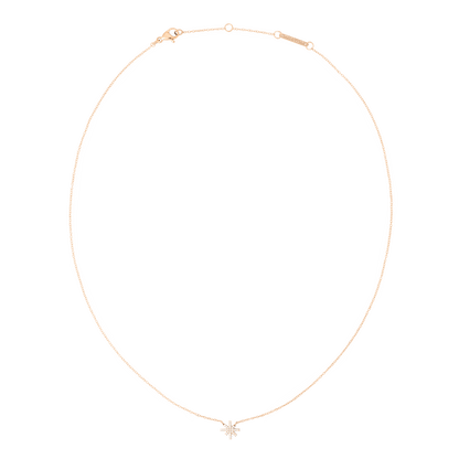Daniel Wellington Mirelle Star Necklace Rose Gold