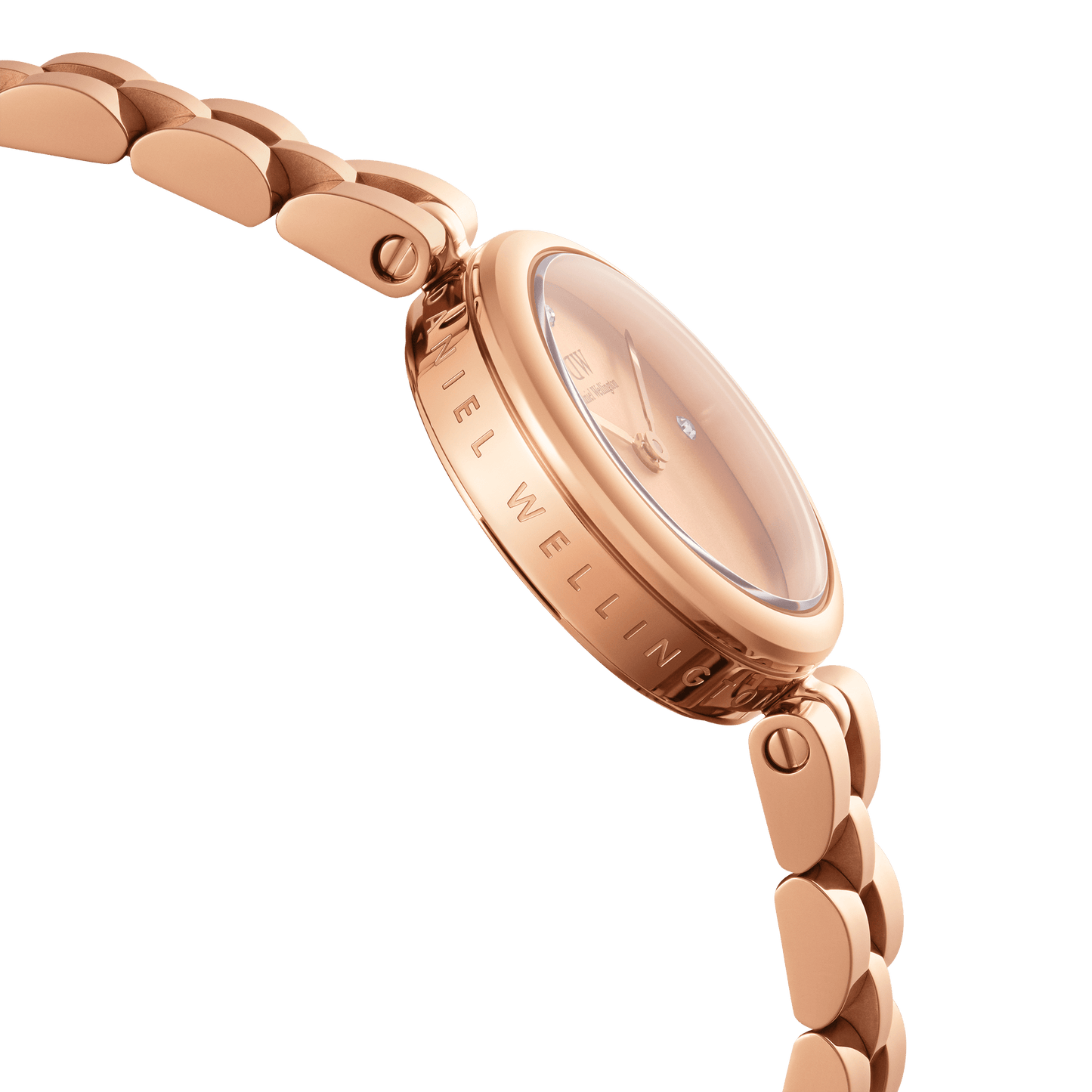 Daniel Wellington Elan Jewellery Watch 22 RG Unitone Watch